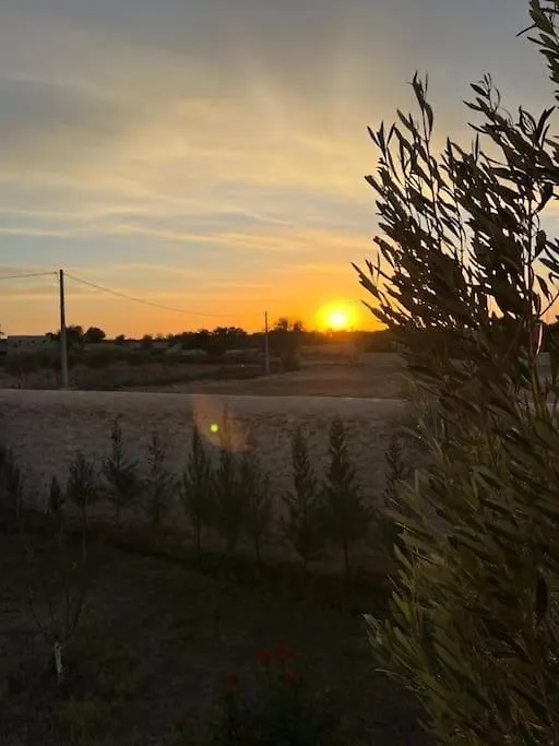 Le Petit Chalet. الصويرة 0*,  المغرب