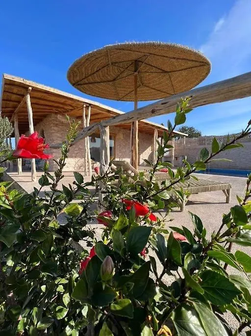 شاليه Le Petit Chalet. الصويرة